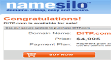 Tablet Screenshot of ditp.com